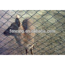 galvanized chicken hexagonal mesh netting /hexagonal decorative chicken wire mesh